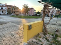 a yellow wall with a plant in front of it