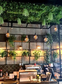 a coffee shop with plants hanging from the ceiling